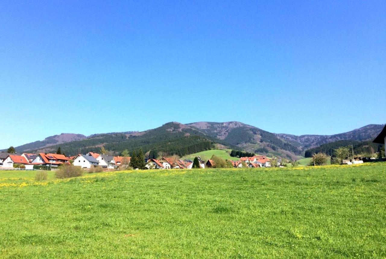 Gemuetliches Haus Im Herzen Des Schwarzwaldes Fuer Bis Zu 9 Personen Elzach Buitenkant foto