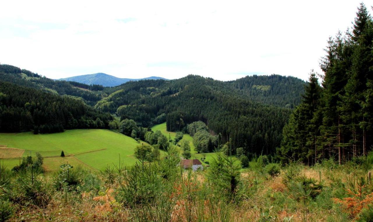 Gemuetliches Haus Im Herzen Des Schwarzwaldes Fuer Bis Zu 9 Personen Elzach Buitenkant foto