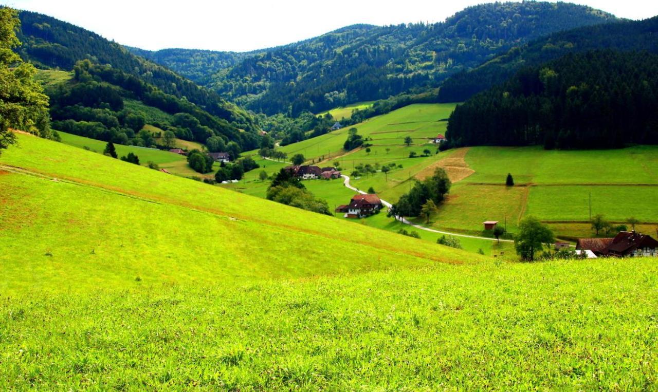 Gemuetliches Haus Im Herzen Des Schwarzwaldes Fuer Bis Zu 9 Personen Elzach Buitenkant foto